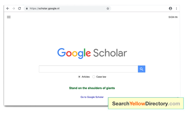 Screenshot Google Scholar
