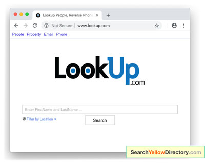 Screenshot of Chrome web browser Lookup search field